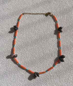 Shell clavicle chain